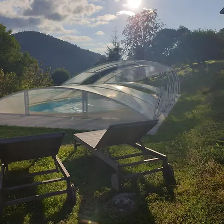 Bois Cosy - Climatise - Piscine Privee * Ferdrupt