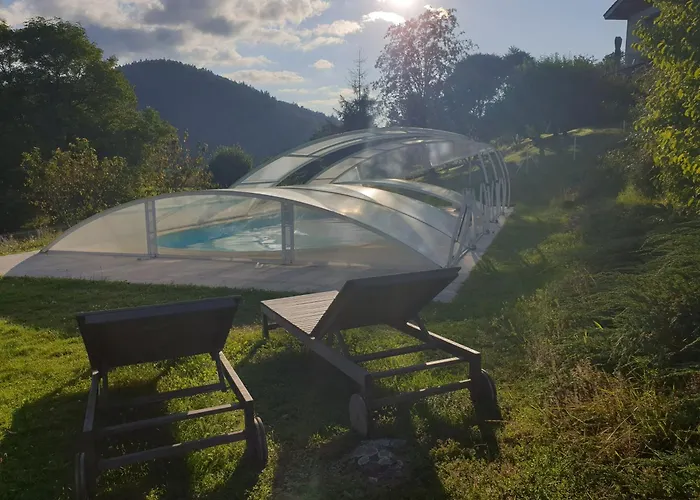 Bois Cosy - Climatise - Piscine Privee * Ferdrupt